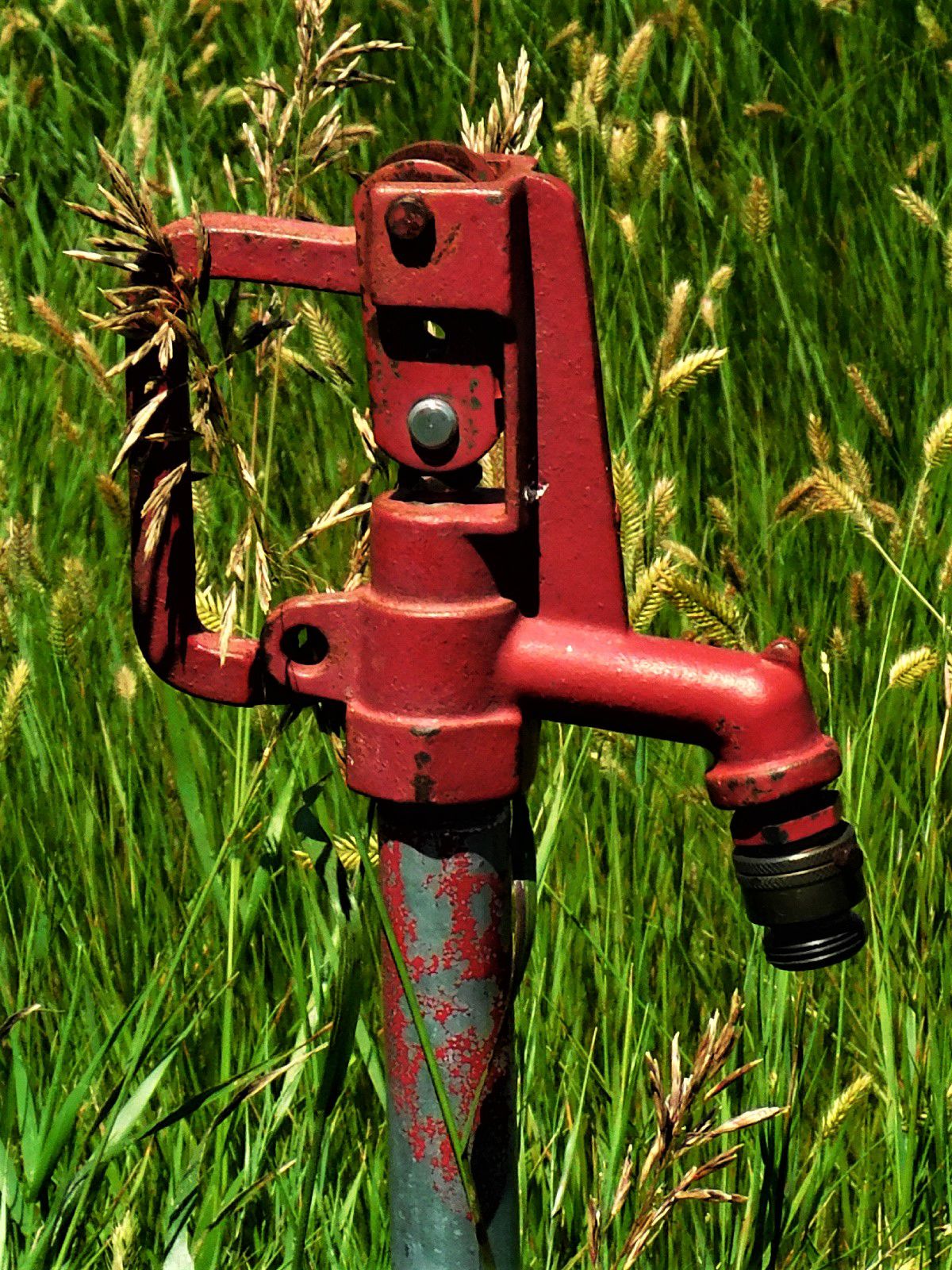 Water Hydrant